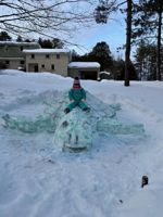 HonourableMention-Turtle-CullitonFamily.jpg