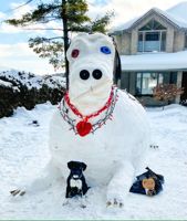 HonourableMention-JudyTheDog-ShewfeltFamily.jpg
